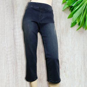 HIGH RISE CROPPED PULL UP DENIM JEGGINGS L